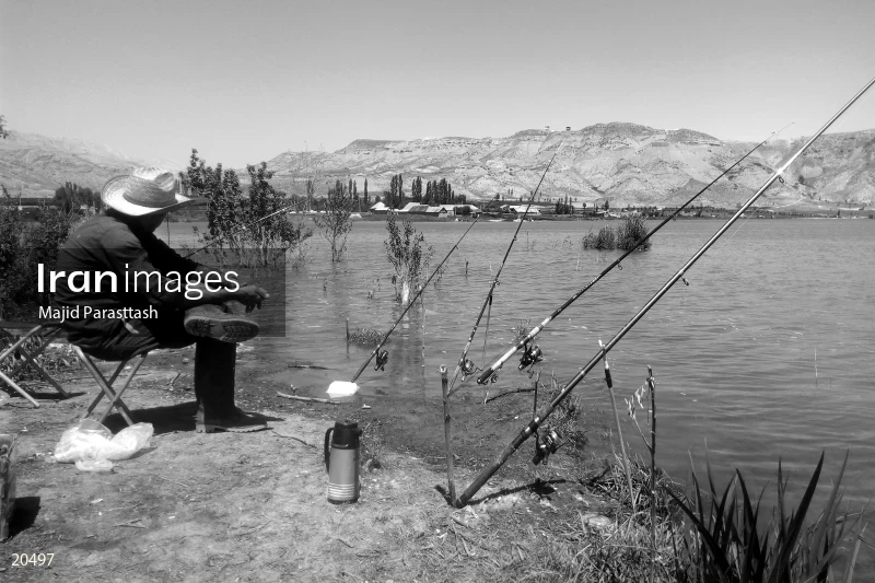 Fisherman