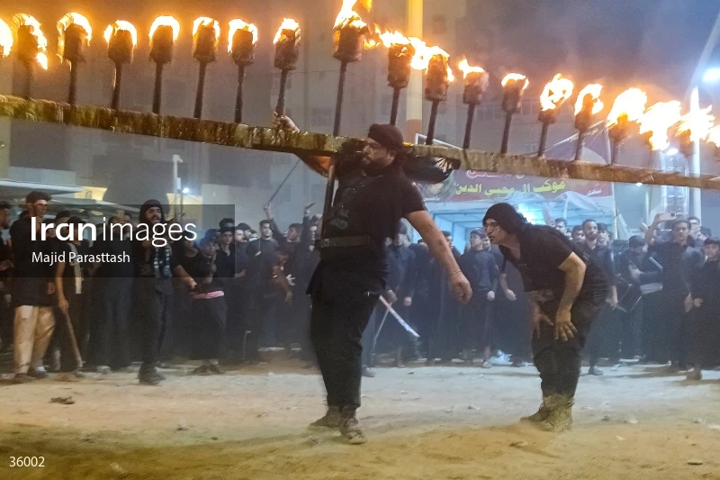 Torch-carrying in the holy shrine of Imam Ali b. Abi Talib (a)