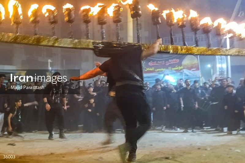 Torch-carrying in the holy shrine of Imam Ali b. Abi Talib (a)