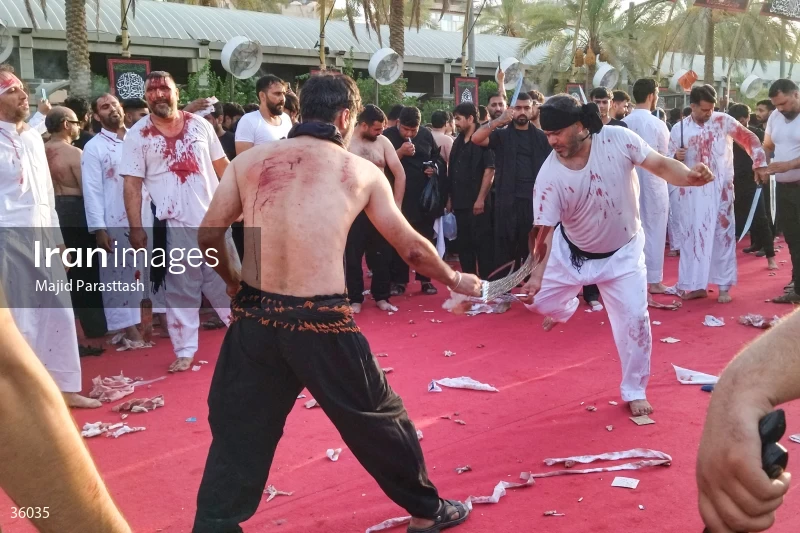 Tatbir rituals in Karbala