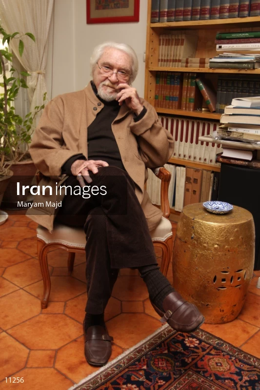 Dariush Shayegan