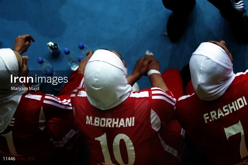Maedeh Borhani