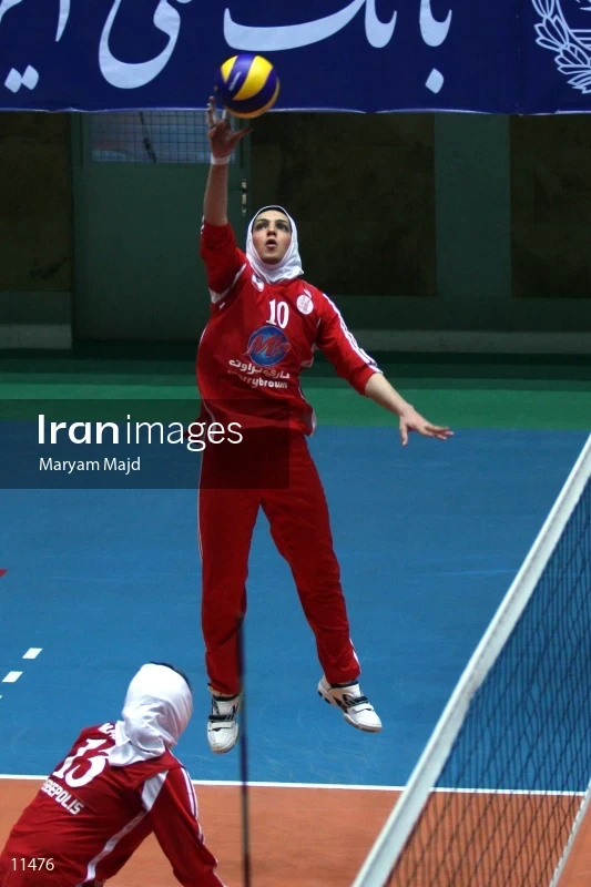 Maedeh Borhani