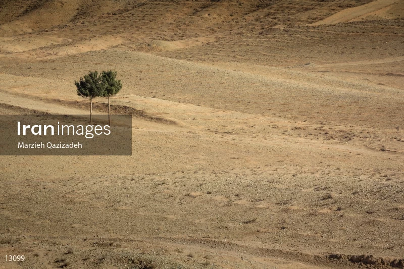 Around EshqAbad Wetlandَ