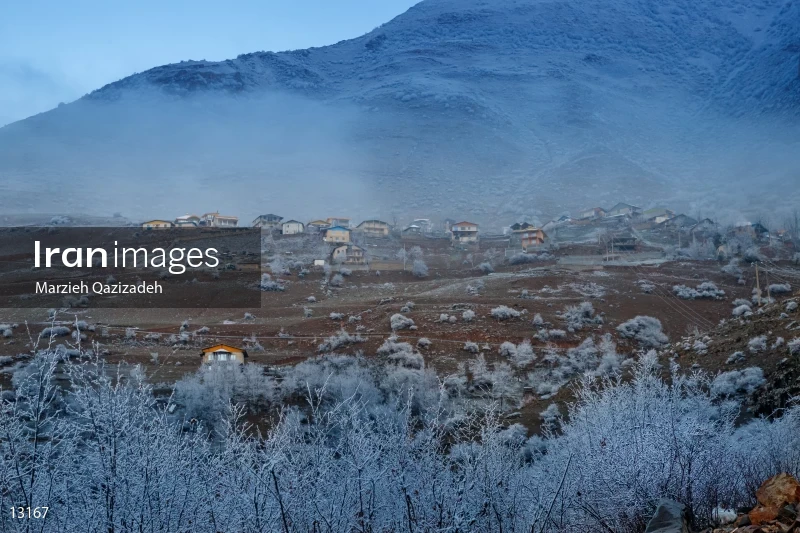 Chalus Road Highlands