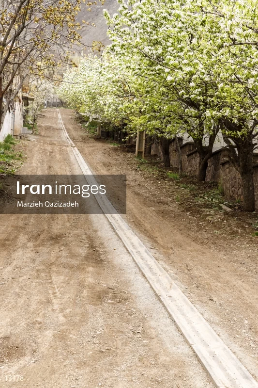 Amameh Village