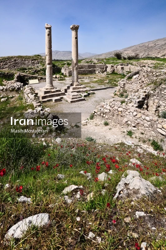 Bishapur