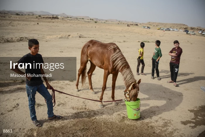 7th Annual Nomads Horse Riding Race