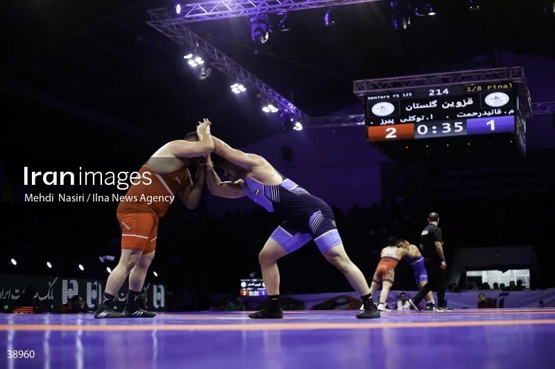 Iranian National Freestyle Wrestling Championships