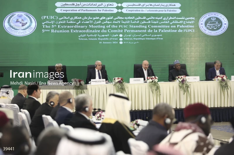 The fifth emergency session of the Permanent Committee on Palestine