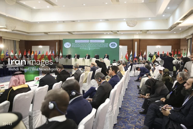 The fifth emergency session of the Permanent Committee on Palestine