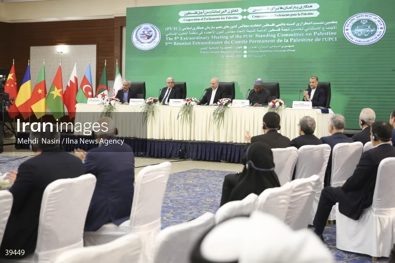 The fifth emergency session of the Permanent Committee on Palestine