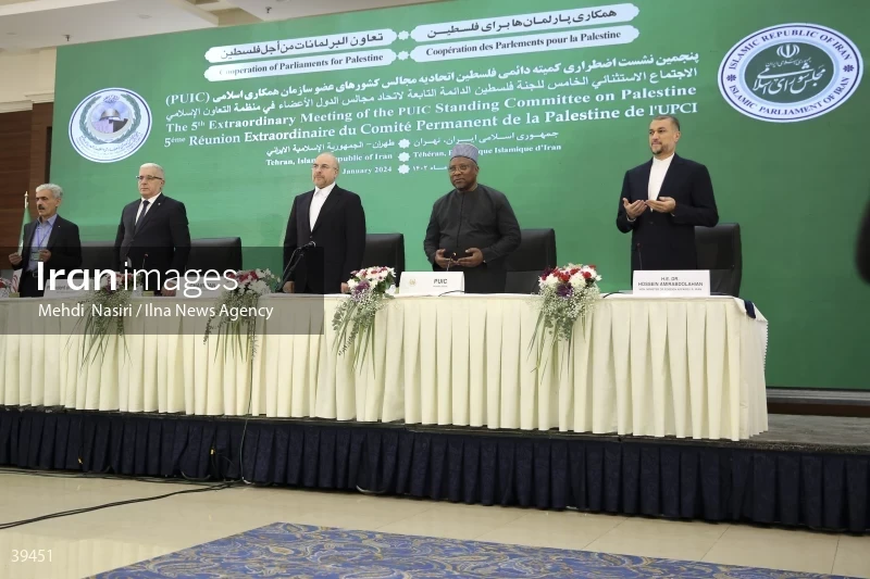 The fifth emergency session of the Permanent Committee on Palestine