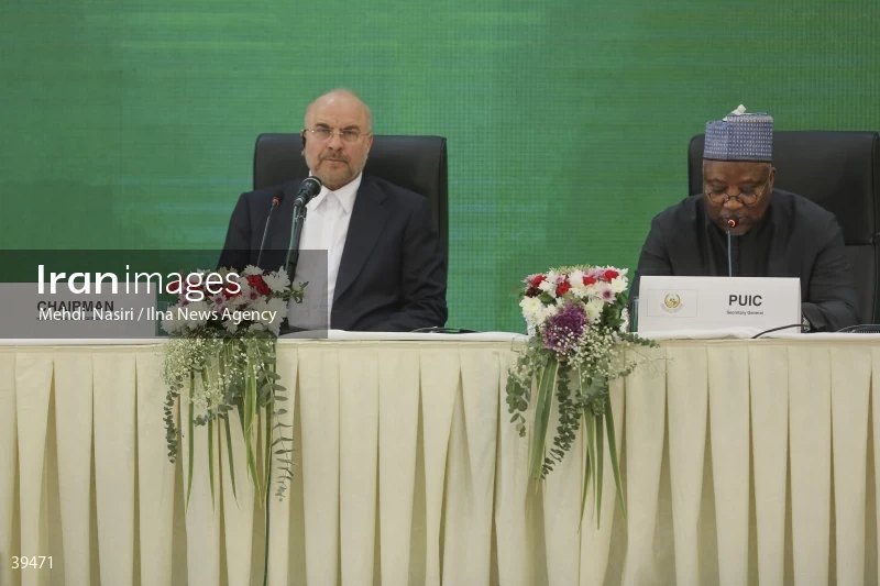 The fifth emergency session of the Permanent Committee on Palestine