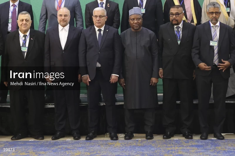 The fifth emergency session of the Permanent Committee on Palestine