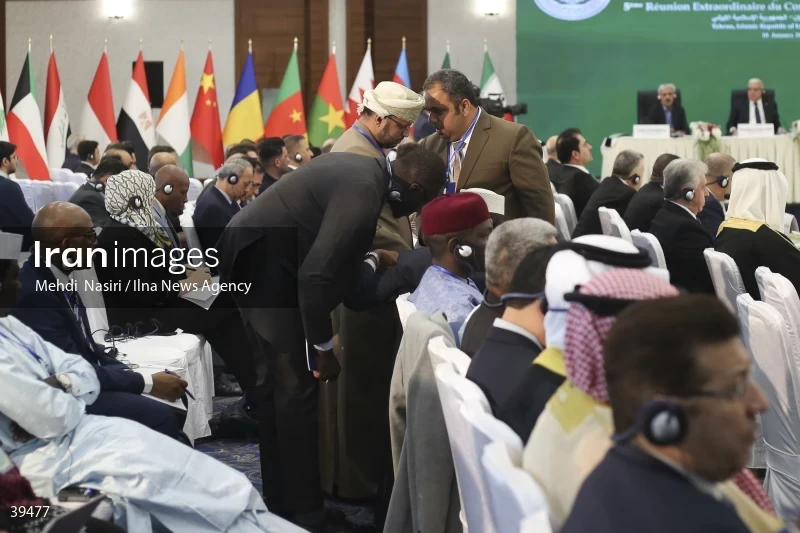 The fifth emergency session of the Permanent Committee on Palestine