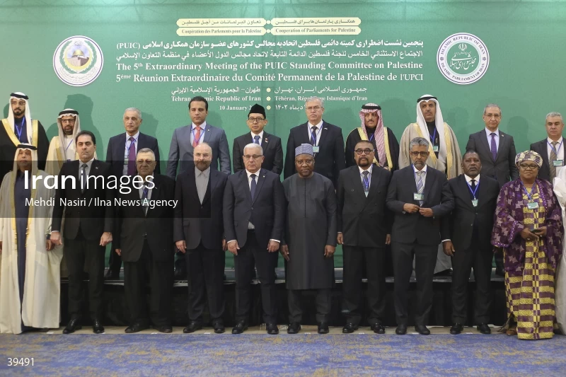 The fifth emergency session of the Permanent Committee on Palestine