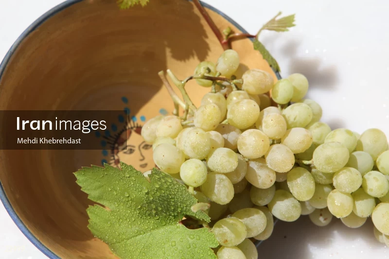 Bunch of green grapes in bowl on white background