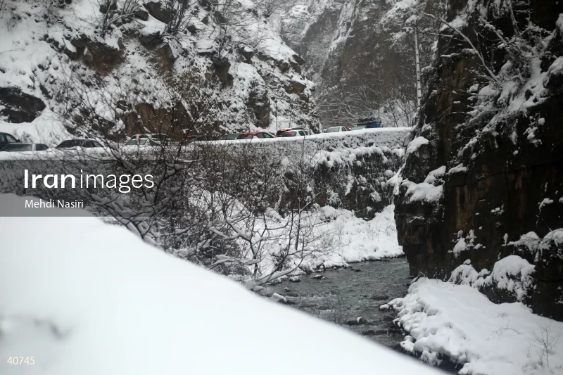 Chalus Road