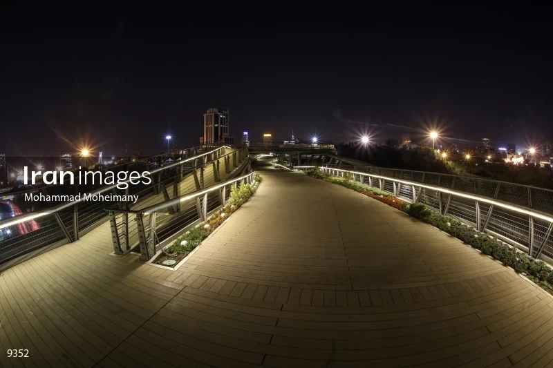 Tabiat Bridge