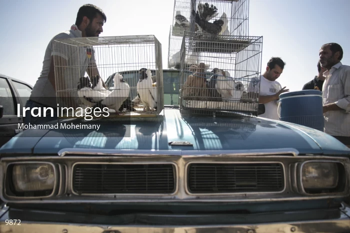 Paykan