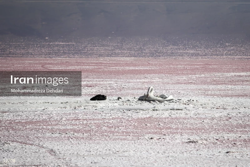 Maharloo Lake