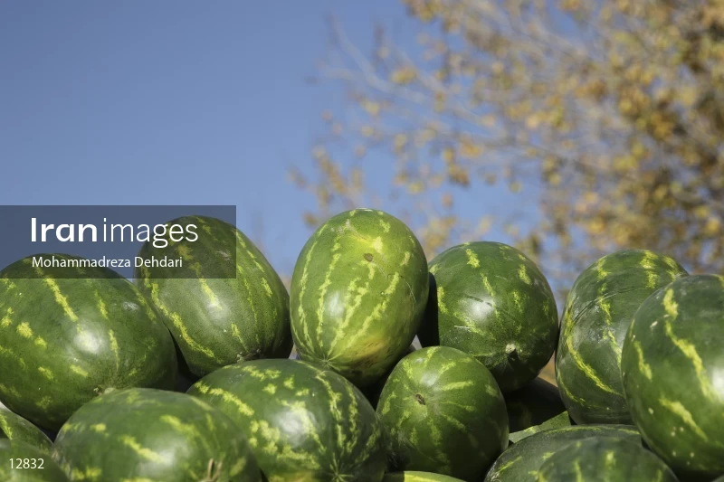 Fruit Sale For Yalda