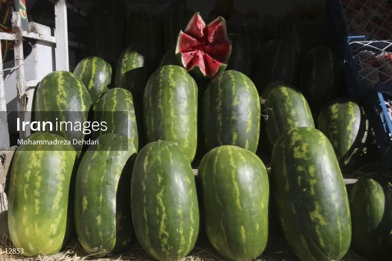 Fruit Sale For Yalda