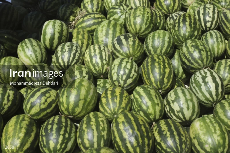 Fruit Sale For Yalda