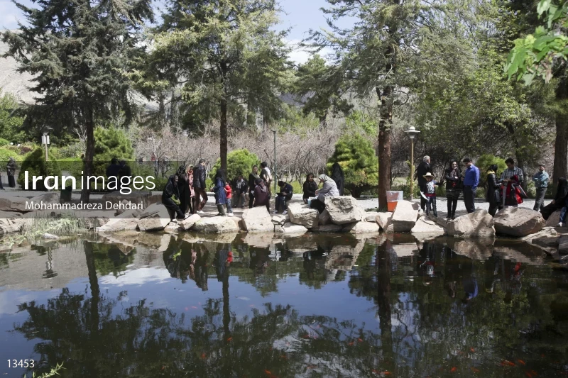 Eram's Fish Pond in Shiraz