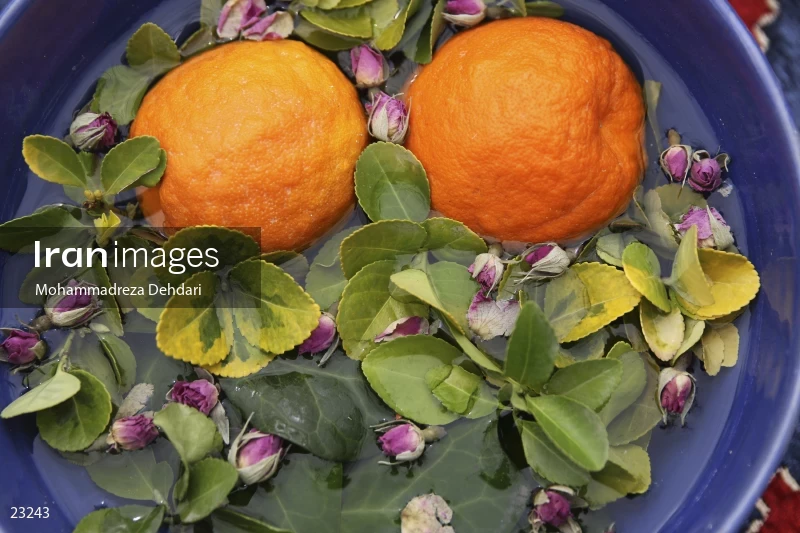 "orange tree wedding" ceremony