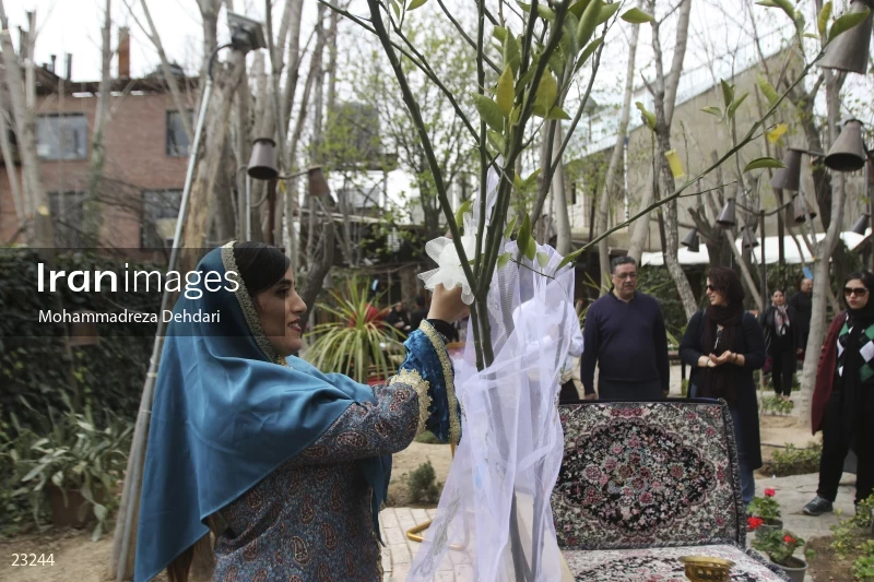 "orange tree wedding" ceremony