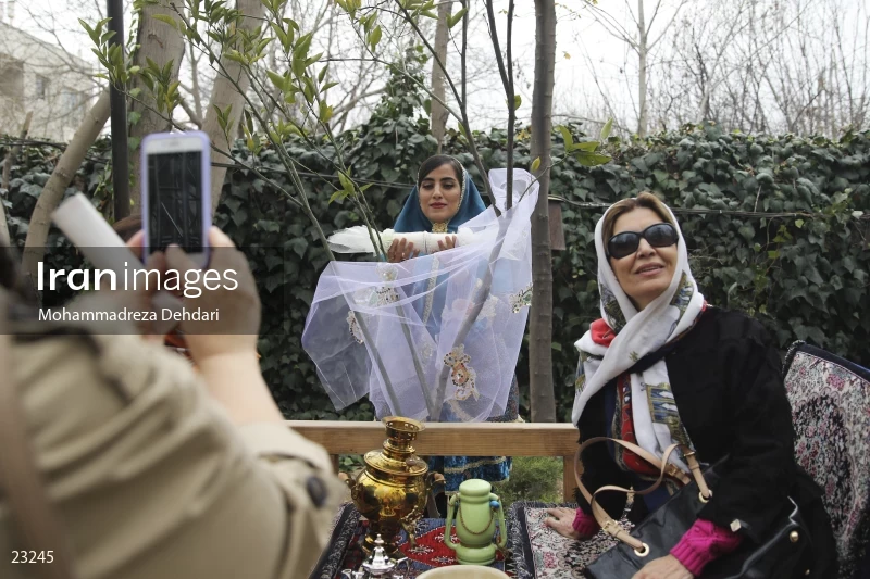 "orange tree wedding" ceremony