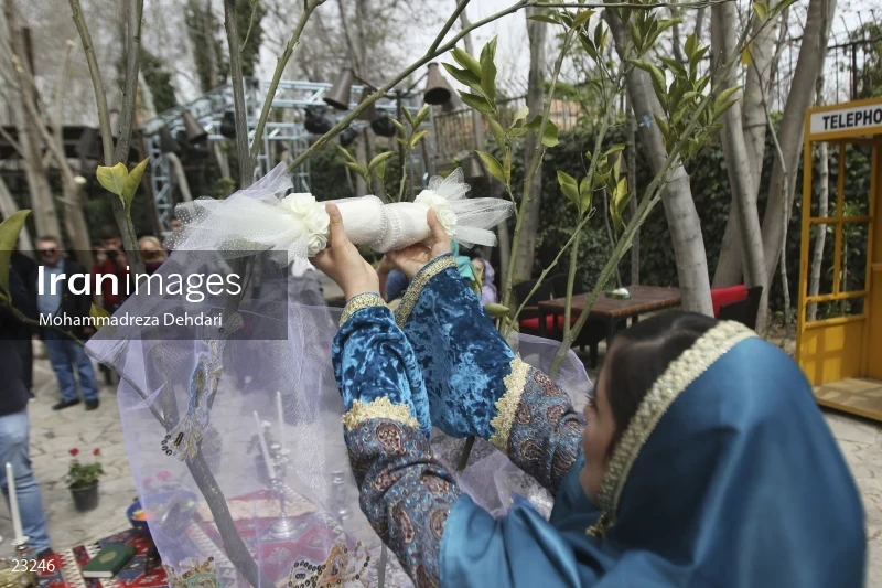 "orange tree wedding" ceremony