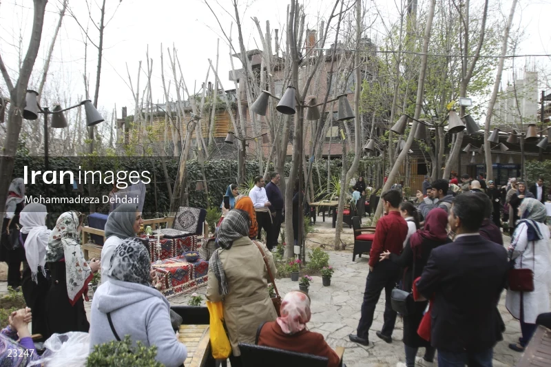"orange tree wedding" ceremony