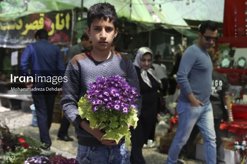 Qasr Aldasht flower market, Shiraz