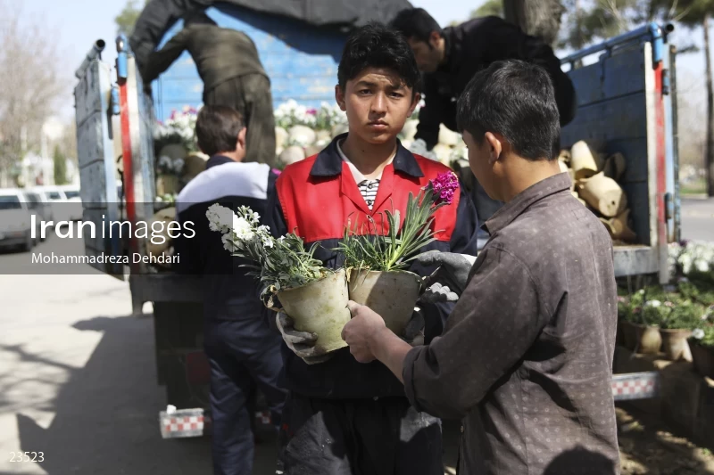 Qasr Aldasht flower market, Shiraz