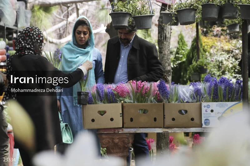 Qasr Aldasht flower market, Shiraz