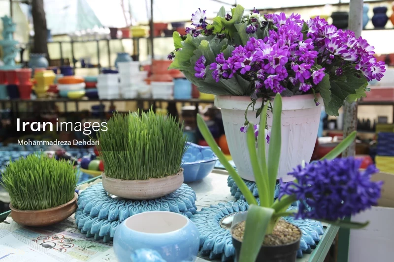 Qasr Aldasht flower market, Shiraz