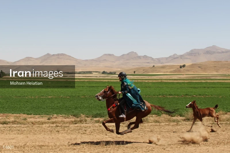 4th National Nomads Festival in Isfahan Province