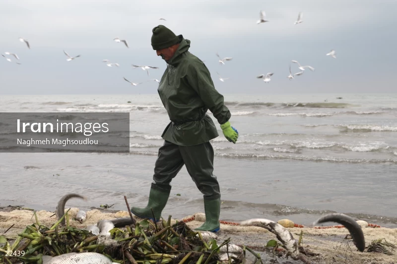 Fishing on Taleb Abad beach
