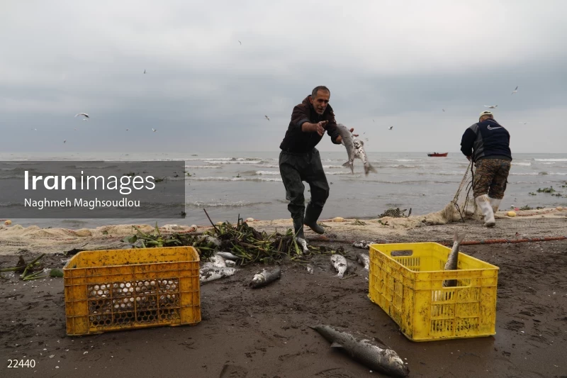Fishing on Taleb Abad beach
