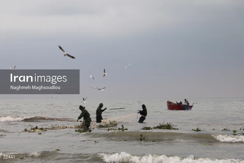 Fishing on Taleb Abad beach
