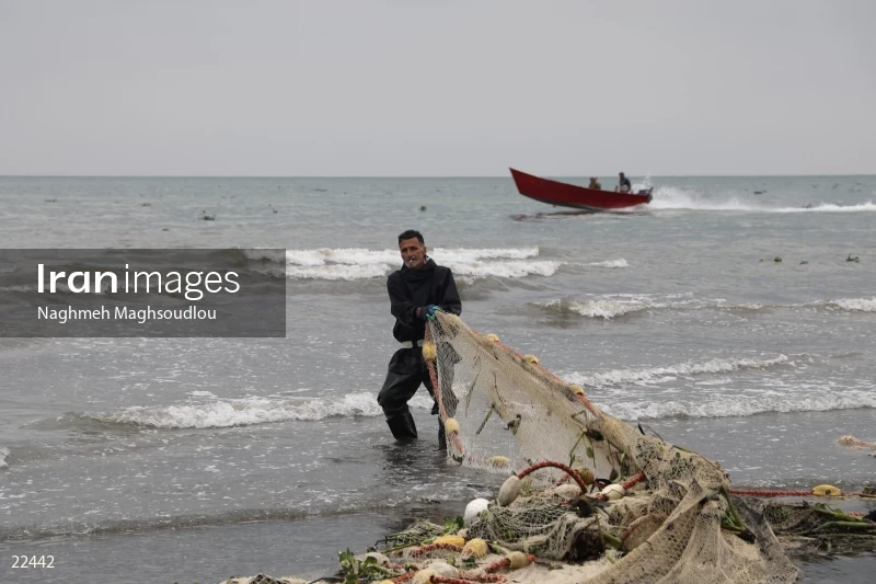 Fishing on Taleb Abad beach