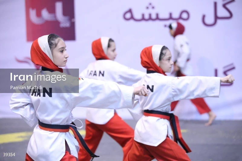 Neshat Cup, The Taekwondo League competitions in the women's category