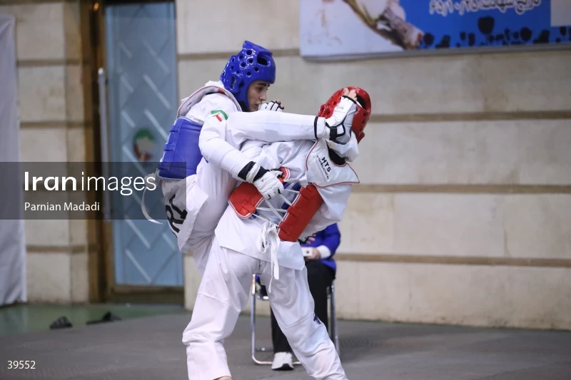 Women's Premier Taekwondo League