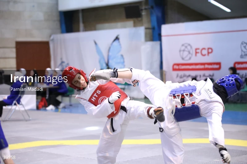 Women's Premier Taekwondo League