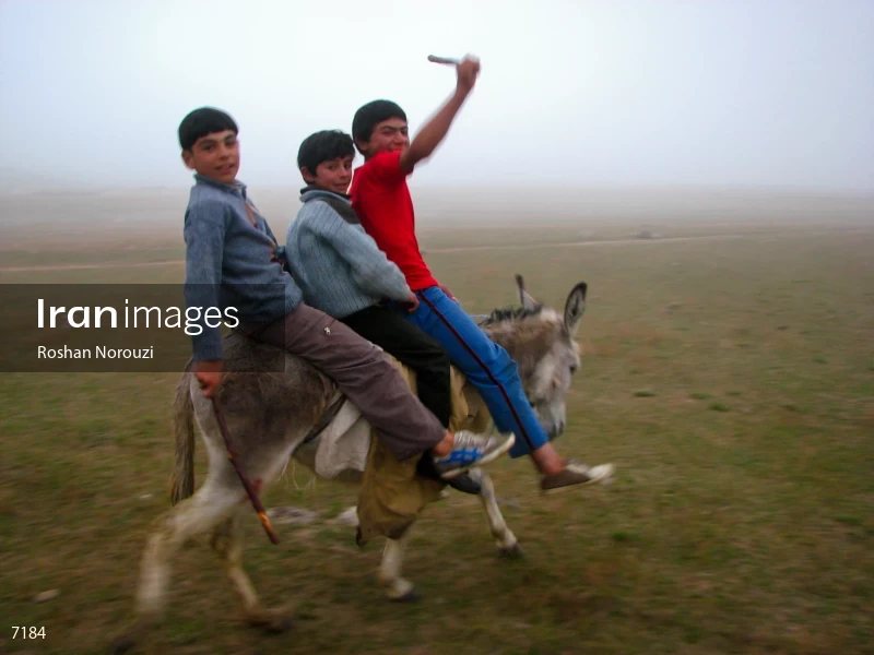 Shahsavan nomadic children