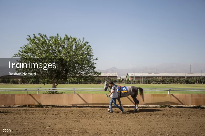 Tehran Horse Riding Summer Event