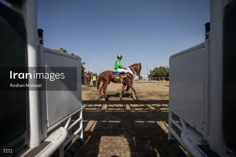 Tehran Horse Riding Summer Event